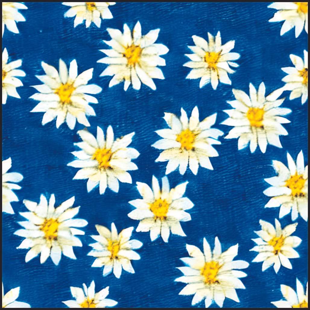 Daisies